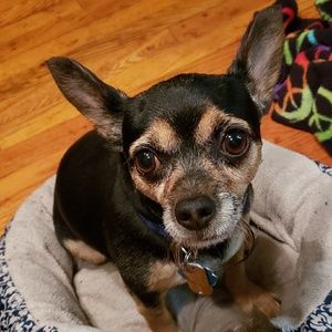 Meet your Posher, Natica